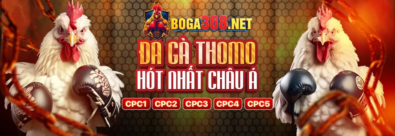 555bet đăng nhập: Cam kết Cờ Bạc Có Trách Nhiệm